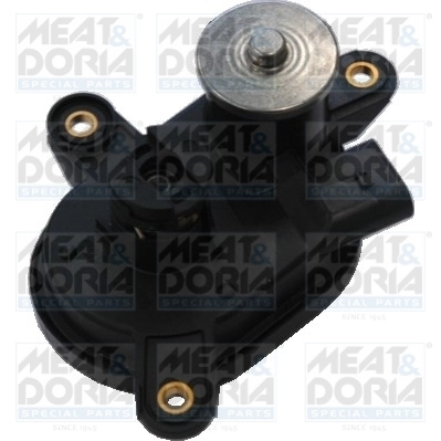 Control, swirl flaps (induction pipe)